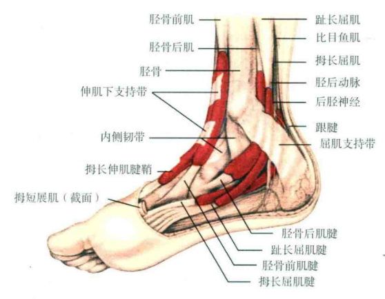 图片预览