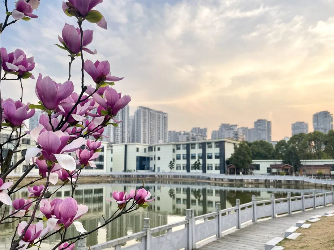 在春天播种希望！沉浸式打卡江湾「花园」医院