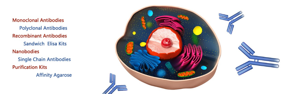 武汉戴安生物技术有限公司