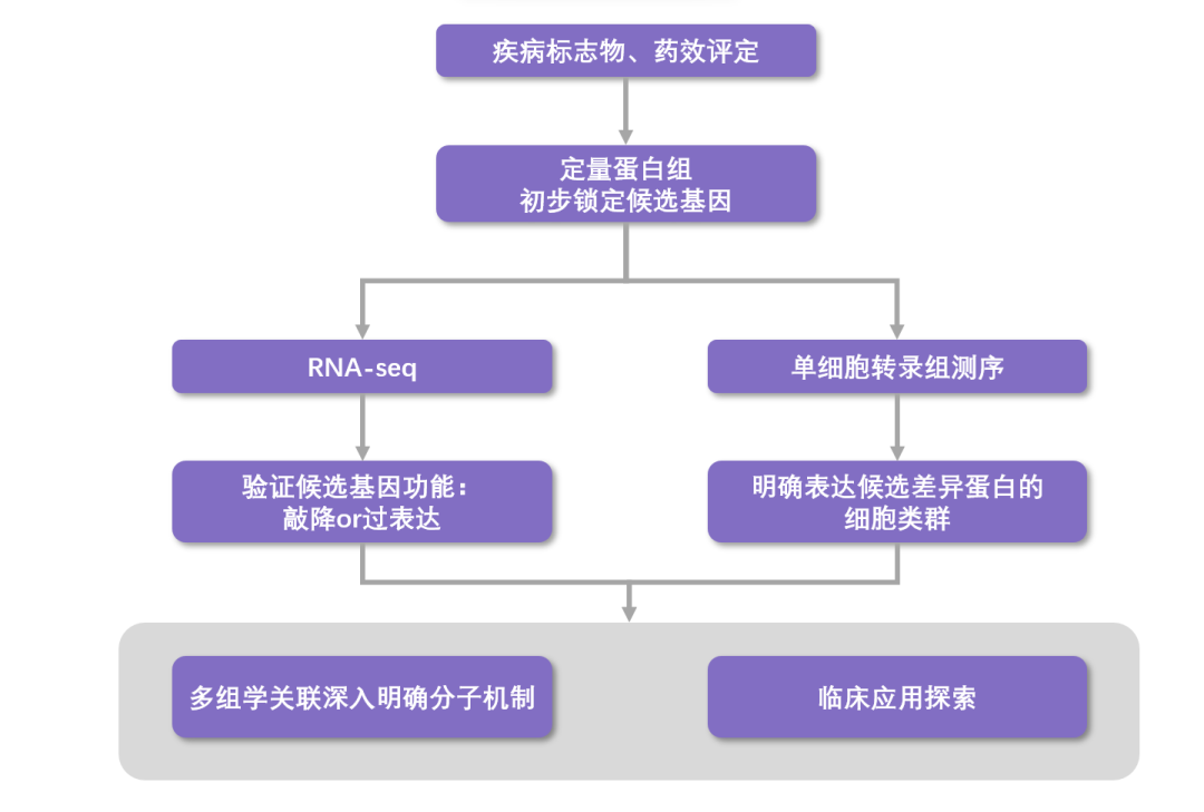 单细胞转录组如何与蛋白组学联用?一文 get 研究思路