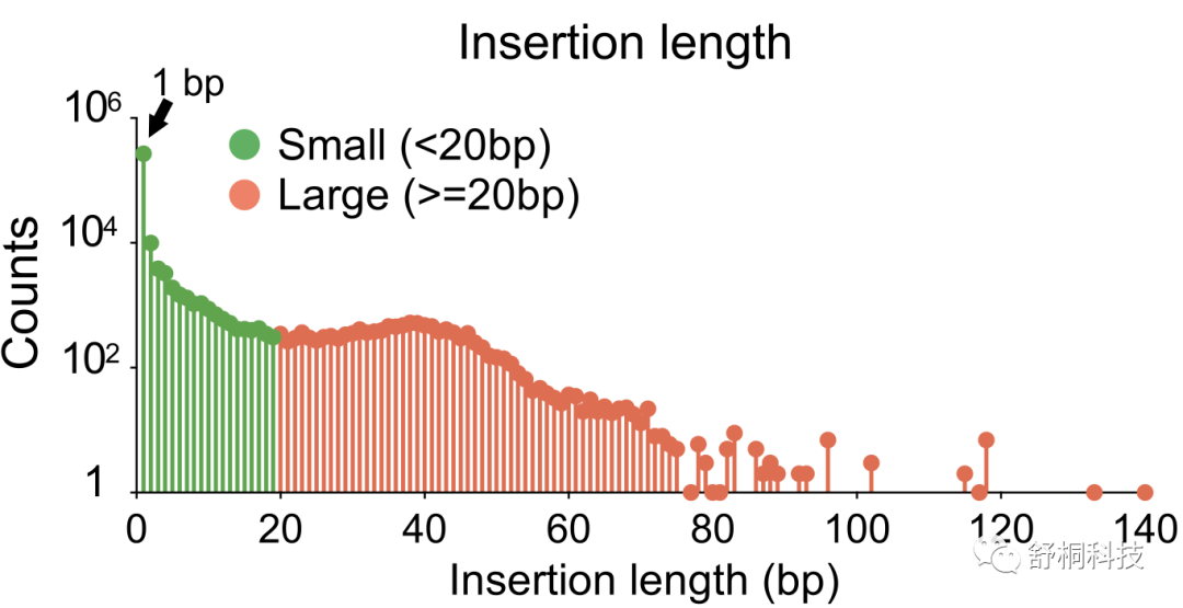 基因脱靶分析技术｜PEM-seq全面解析染色体重排易位
