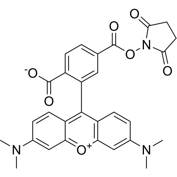 6-TAMRA-SE (6-TAMRA-NHS ester)