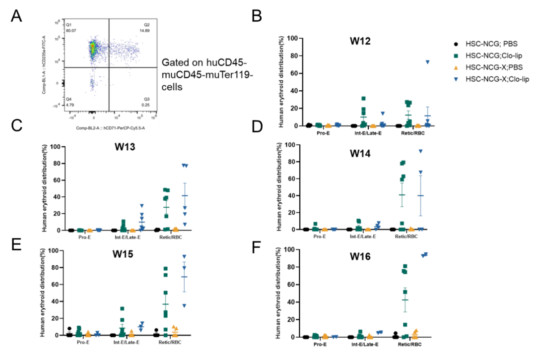 红细胞疾病药研:谁懂红系之痛,NCG-X小鼠乘风破浪越“关山”
