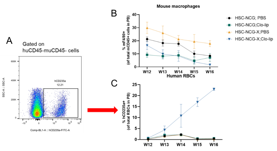 红细胞疾病药研:谁懂红系之痛,NCG-X小鼠乘风破浪越“关山”