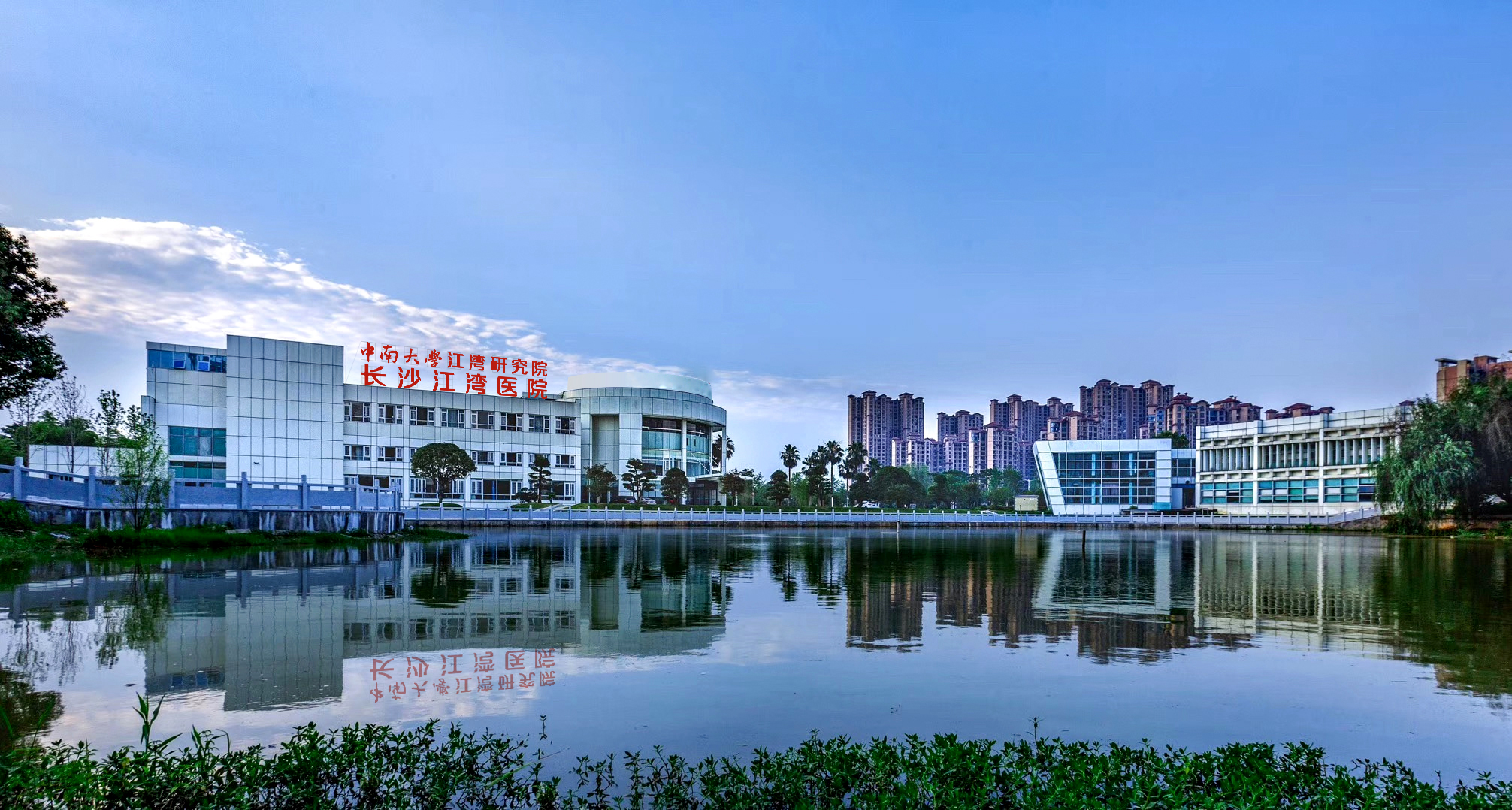 在春天播种希望！沉浸式打卡江湾「花园」医院