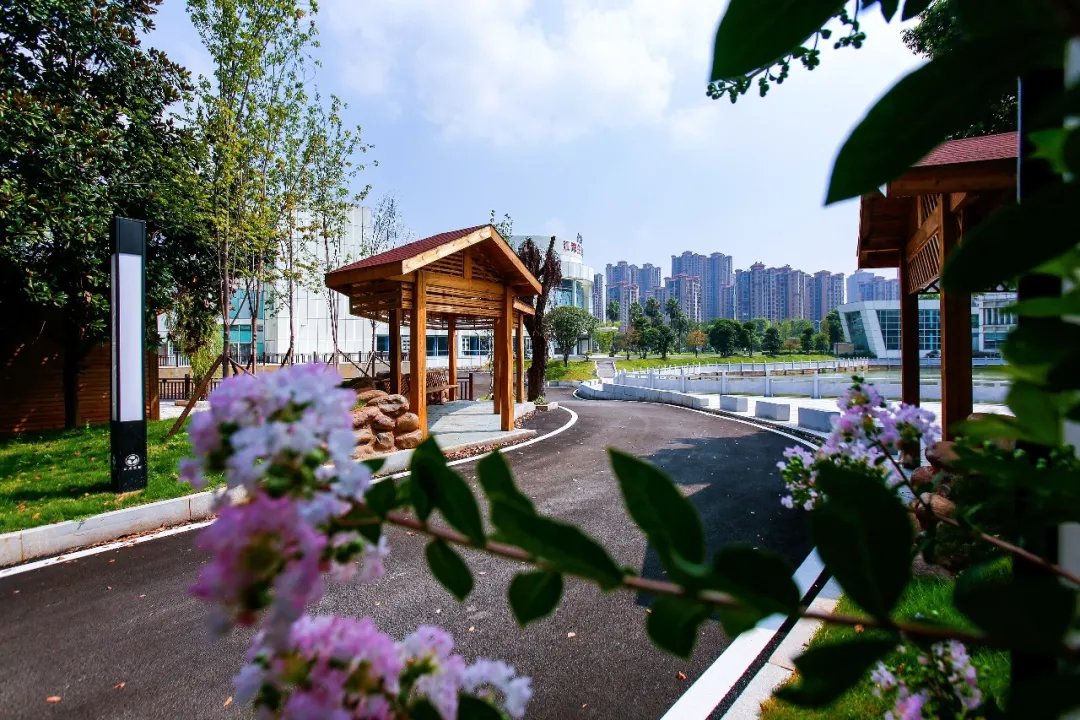 在春天播种希望！沉浸式打卡江湾「花园」医院