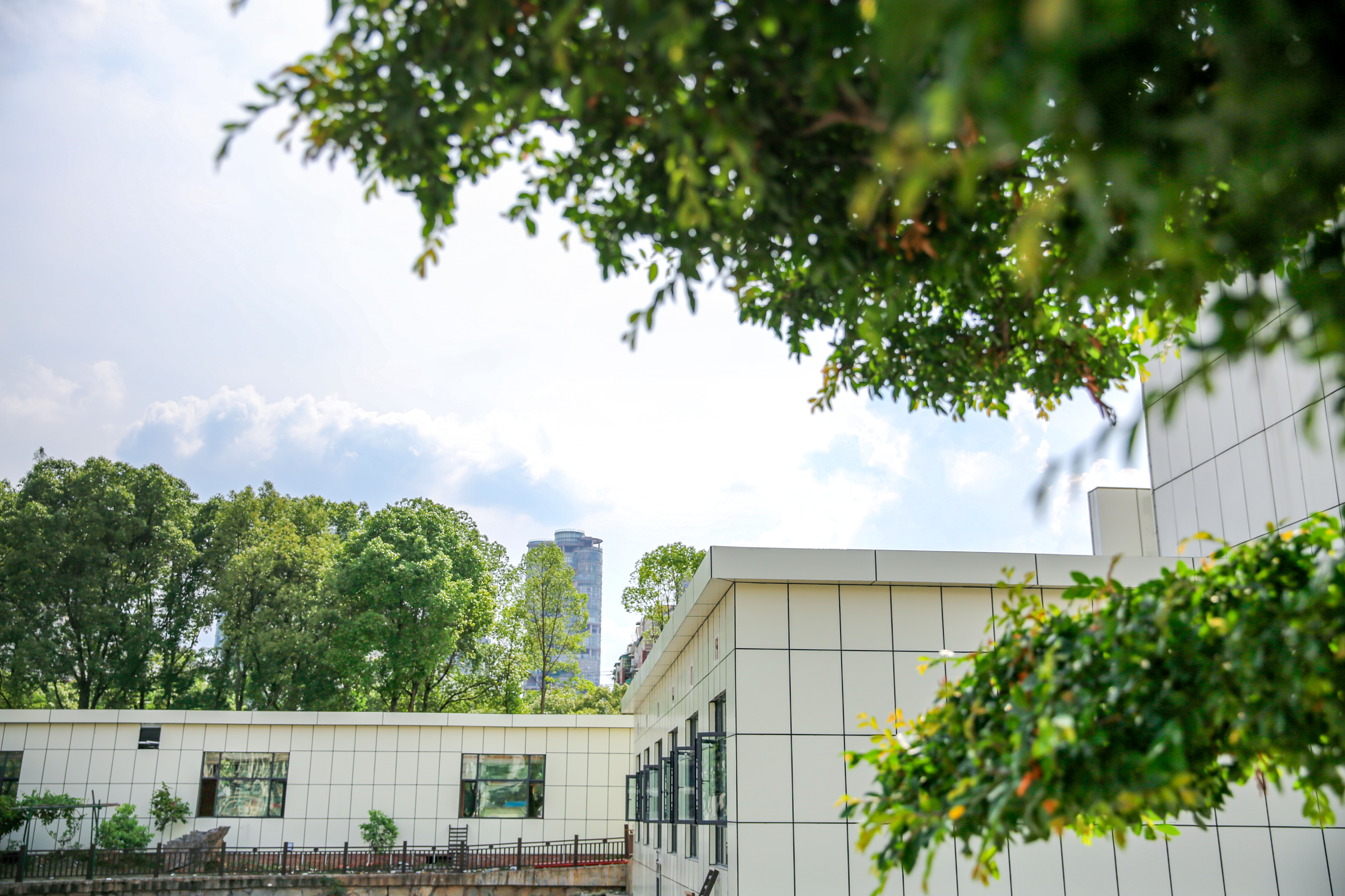 在春天播种希望！沉浸式打卡江湾「花园」医院