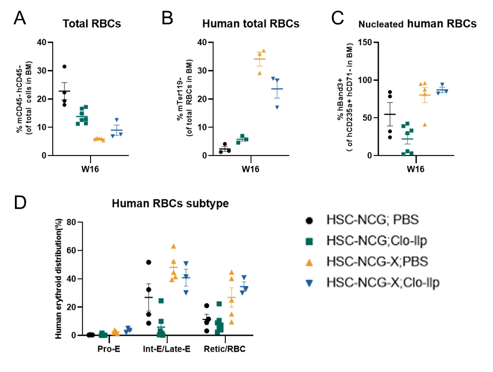 红细胞疾病药研:谁懂红系之痛,NCG-X小鼠乘风破浪越“关山”