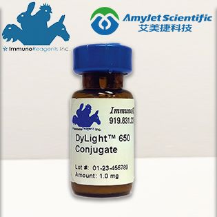DyLight488标记兔抗小鼠IgG二抗|Rabbit anti-Mouse IgG (H&L)-Affinity Pure,DyLight488 Conjugate