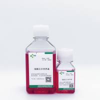 上皮细胞/原代细胞完全培养基