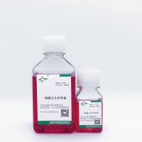 干细胞/原代细胞完全培养基