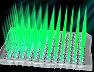 qPCR中荧光标记的选择