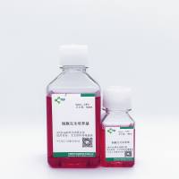成纤维细胞/原代细胞完全培养基