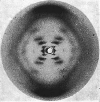 Nature:推翻「DNA 之父」沃森的说法,揭开富兰克林对 DNA 双螺旋结构的真正贡献