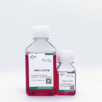 内皮细胞/原代细胞完全培养基