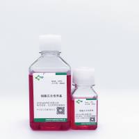 细胞株完全培养基