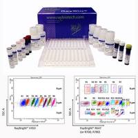 RayPlex™流式多因子检测