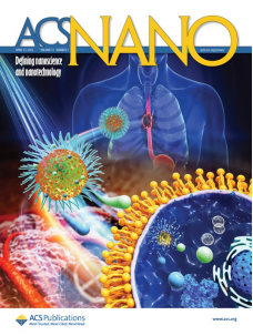 肿瘤微环境 | 华西医院科研团队构建靶向 TOPK 和乏氧环境的纳米递送系统，为食管鳞癌治疗提供新策略