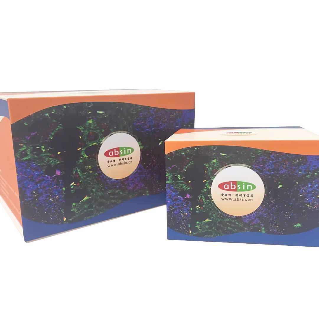 六色多重荧光免疫组化染色试剂盒（抗兔二抗）