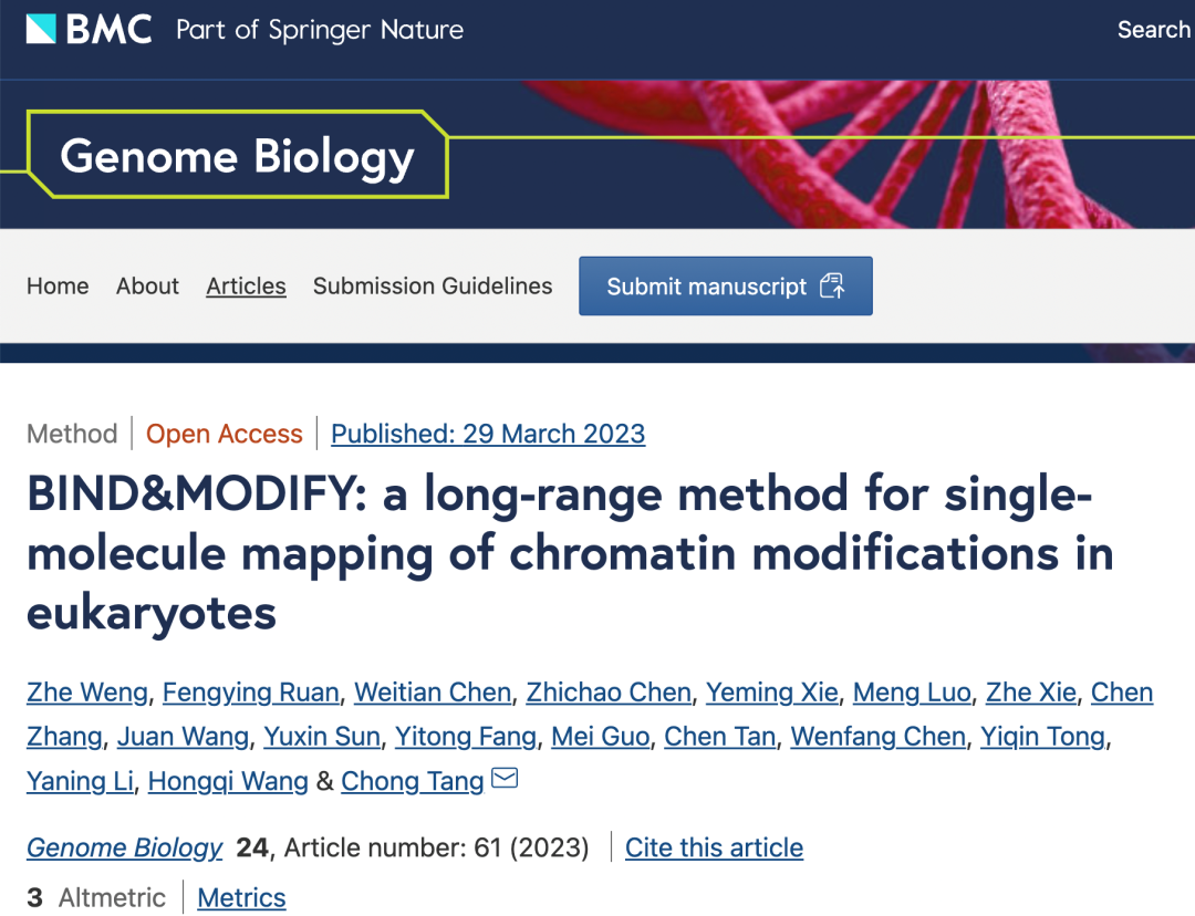 IF 17！蛋白-DNA 交互作用在单分子水平迎来重要突破