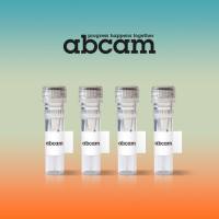 （麦格生物）Abcam原装正品 现货促销