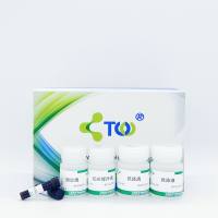 ALP染色试剂盒/成骨诱导检测