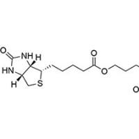 蛋白质氧化还原产品