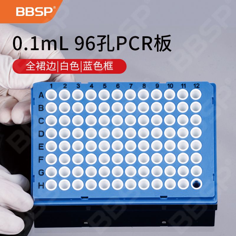 【BC9616】0.1mL 96孔PCR板-全裙边，白色，蓝色框【无DNA酶，无RNA酶，无热原】