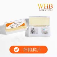 多聚赖氨酸处理6孔板圆形细胞爬片（24mm），灭菌