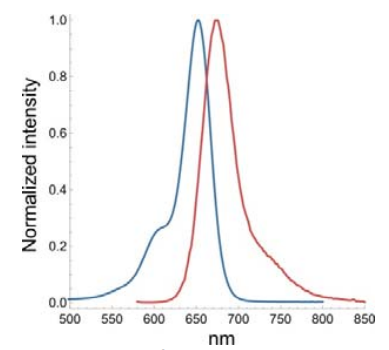 艾美捷 SiR-Actin试剂盒使用方法和注意事项说明