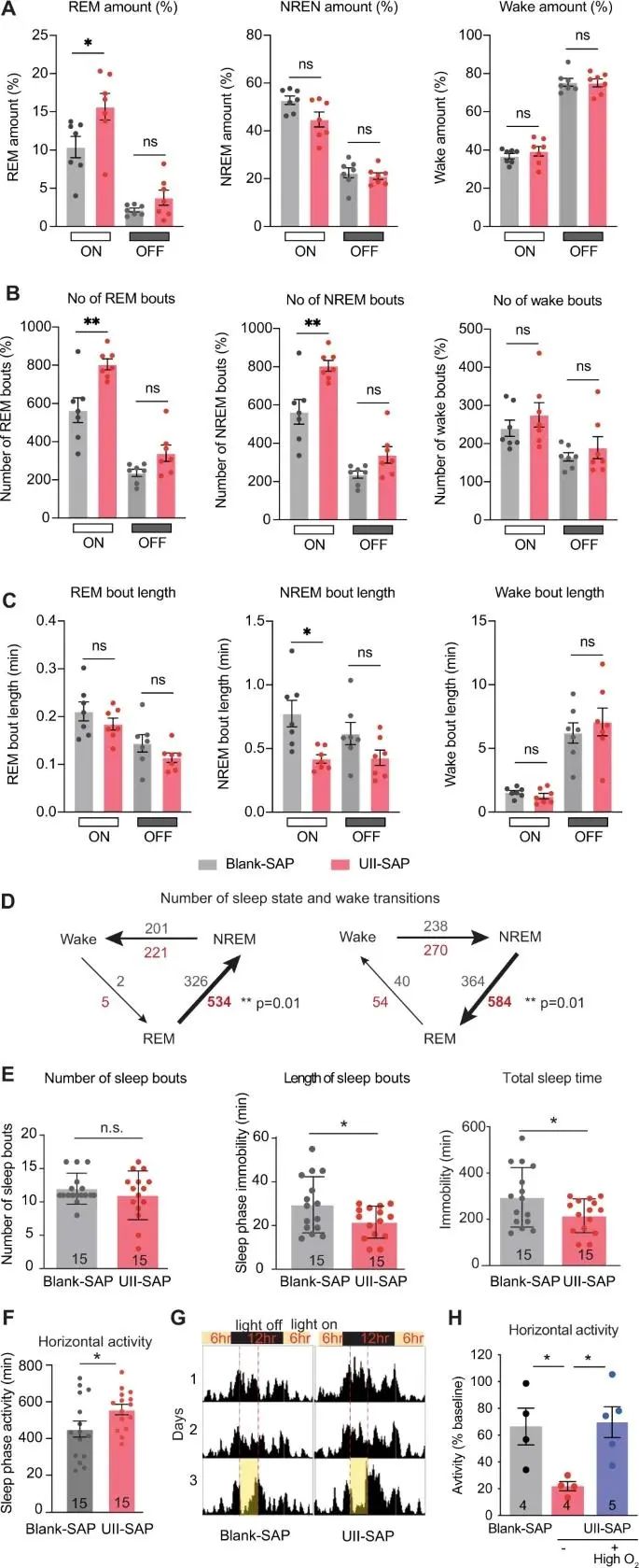 Nature子刊:阻塞性睡眠呼吸暂停(OSA)和阿尔茨海默病(AD)的联系