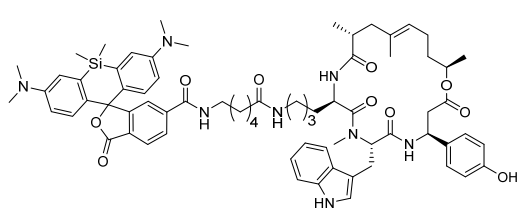 艾美捷 SiR-Actin试剂盒#CY-SC001物理特性 艾美捷 SiR-Actin试剂盒#CY-SC001物理特性