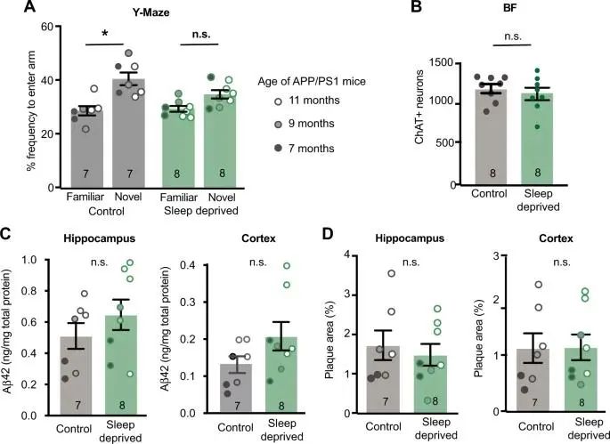 Nature子刊:阻塞性睡眠呼吸暂停(OSA)和阿尔茨海默病(AD)的联系