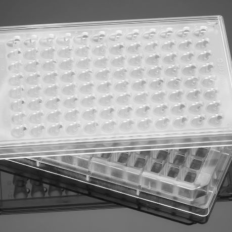 Corning® FluoroBlok™ HTS 96孔细胞培养小室系统，8.0 µm高密度PET膜，无菌，1/箱