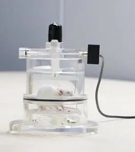 Nature子刊:阻塞性睡眠呼吸暂停(OSA)和阿尔茨海默病(AD)的联系