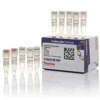 （麦格生物）Thermo Fisher 原装正品 现货促销