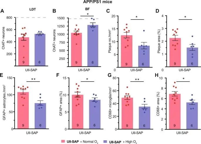 Nature子刊:阻塞性睡眠呼吸暂停(OSA)和阿尔茨海默病(AD)的联系