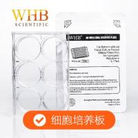 TC处理透明6孔细胞培养板，吸塑盒，灭菌