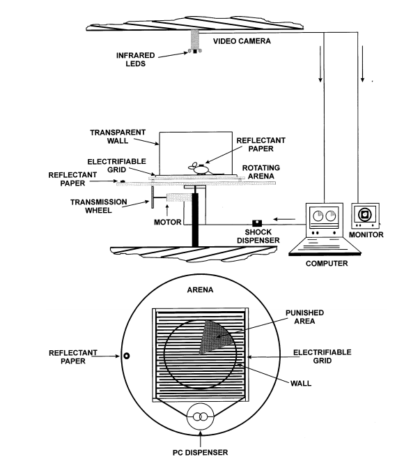 Nature子刊:阻塞性睡眠呼吸暂停(OSA)和阿尔茨海默病(AD)的联系
