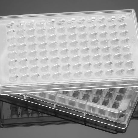 Corning® FluoroBlok™ HTS 96孔细胞培养小室系统，3.0 µm高密度PET膜，无菌，1/箱