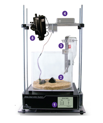 Nature子刊:阻塞性睡眠呼吸暂停(OSA)和阿尔茨海默病(AD)的联系