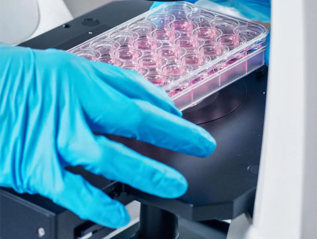 免疫检测中，那些你不知道的事~