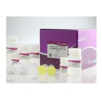 天根DP117无内毒素质粒大提试剂盒，10次