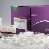 DP315天根病*基因组DNARNA提取试剂盒(DP315) 50次