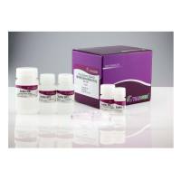 天根DP305植物基因组 DNA 提取试剂盒，200次