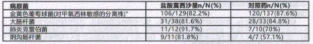 图片预览