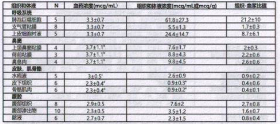图片预览