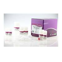 天根DP103-02质粒小提试剂盒，50次