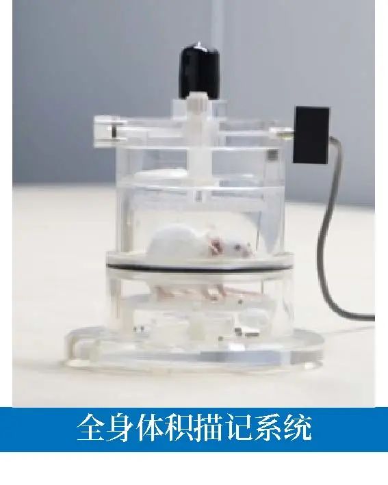 全身体积描记系统在睡眠呼吸暂停（OSA）方面的应用