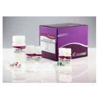 DP316 天根微量样品基因组DNA提取试剂盒(DP316) 50次